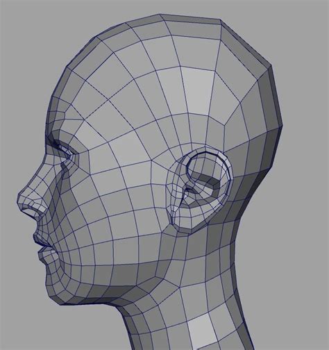 Terms Of Service Face Topology 3d Face Model Topology