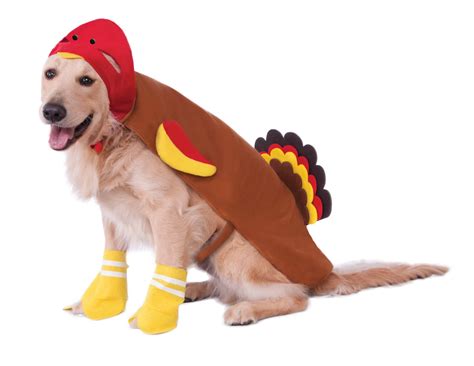 Rubies Turkey Dog And Cat Thanksgiving Costume Pet Costume Center
