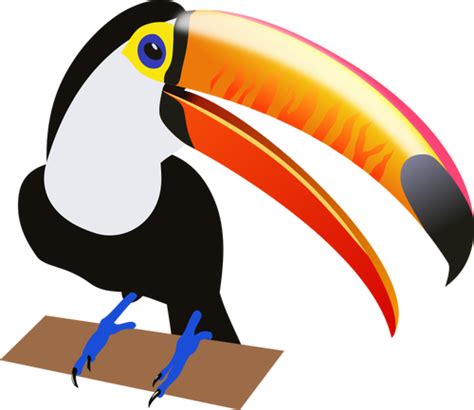 Tropical Bird Clipart At Getdrawings Free Download