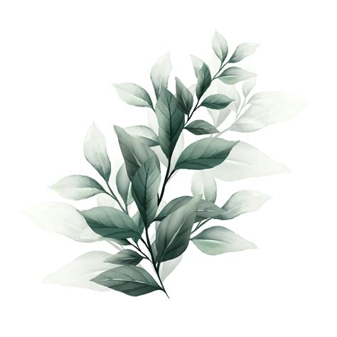 Bouquet Of Watercolor Leaves 13855146 Png