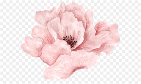 Watercolor Flowers Pink At Getdrawings Free Download