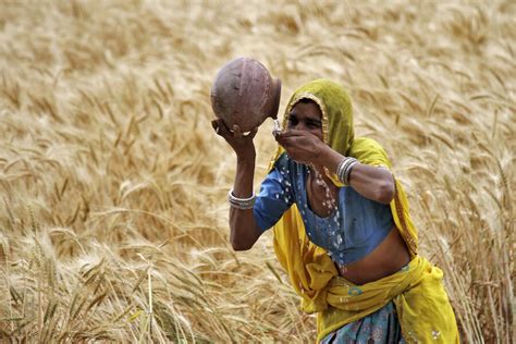 Making Strides In Women Farmers Income In India