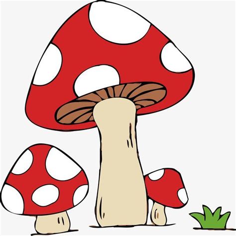 Lovely Mushroomsmushroommushroom Cartooncartoon Mushroomsvectorvector