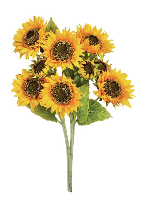 Ophelia And Co Head Sunflower Spray And Reviews Wayfair