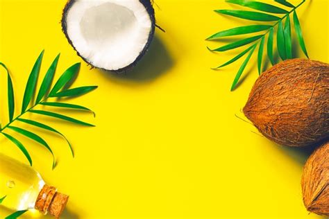 Bright Background With Coconuts High Quality Food Images ~ Creative