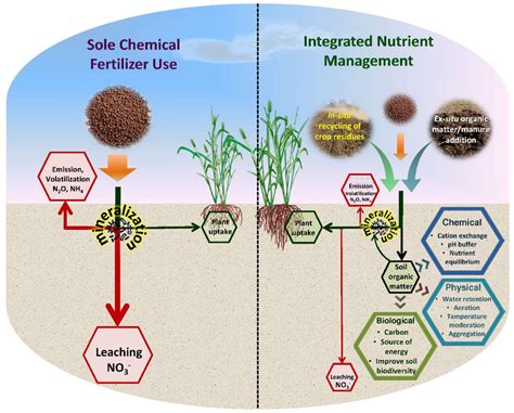Frontiers Integration Of Organics In Nutrient Management For Rice