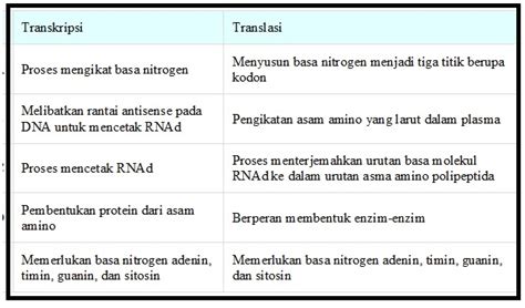 CATATAN SINTESIS PROTEIN UN Biology Page