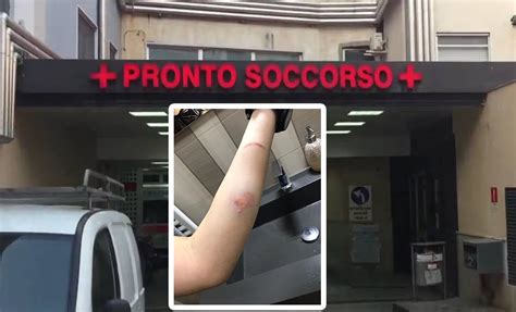 Frattamaggiore Aggressione Al Personale Sanitario Enne Morde Un