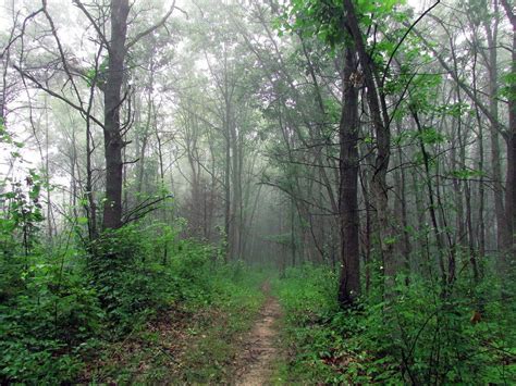 Fog Trail Photo By H Simkiss — National Geographic Your Shot