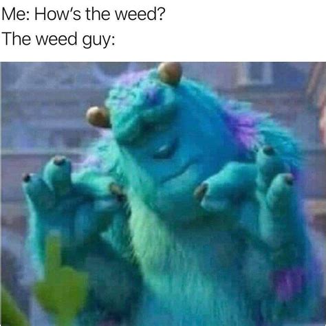 Funny Weed Guy Drugs Sully Monsters Inc Meme Meme