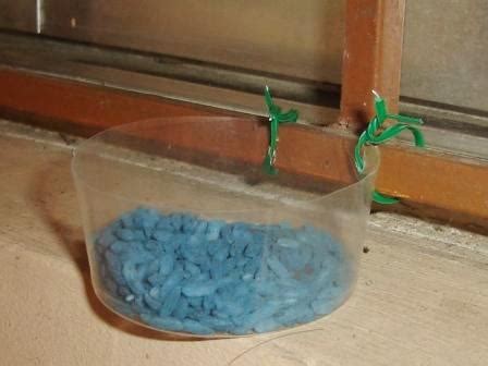 Catching mice can really be a nightmare. Homemade Rat Poison Bait Dish ~ Rental Biz - A Landlord's Life