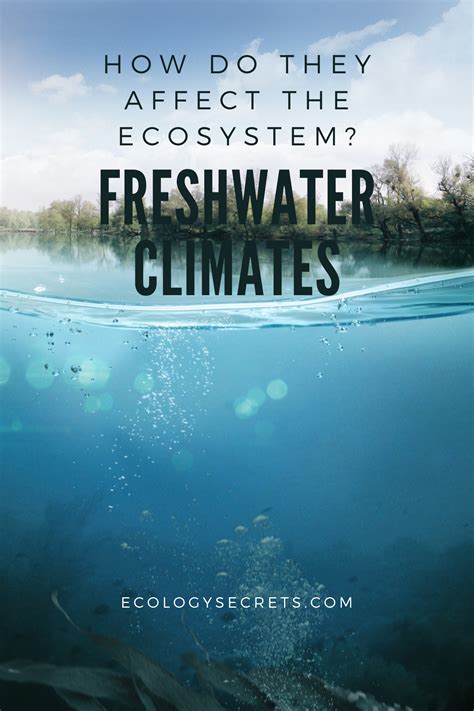 Freshwater Climates How Do They Affect The Ecosystem Ecosystems
