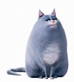 Chloe (The Secret Life of Pets) | Heroes of the characters Wiki | Fandom