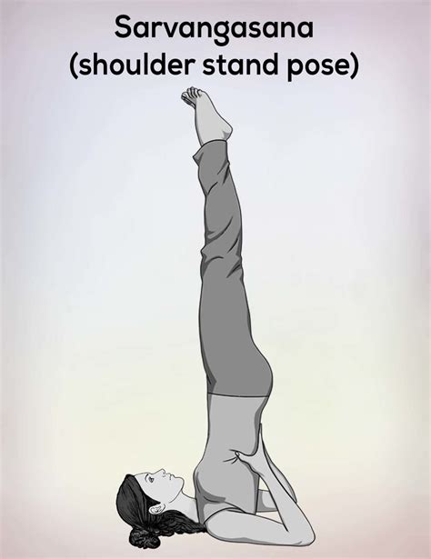 Sarvangasana Shoulder Stand Pose Steps Benefits Precautions Nexoye