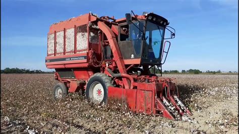 Cotton Harvest 2021 With Case Ih 1822 The Temple Of The King Youtube