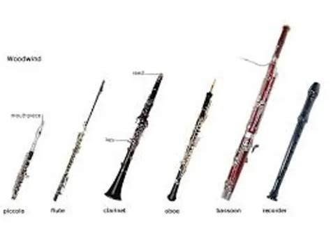 10 Interesting Flute Facts My Interesting Facts