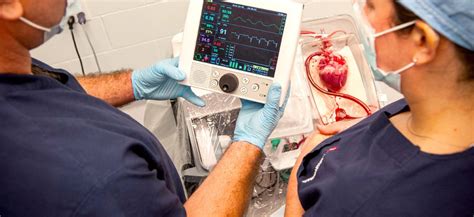 Heart Patients Receive Transplant Thanks To New Organ Care System
