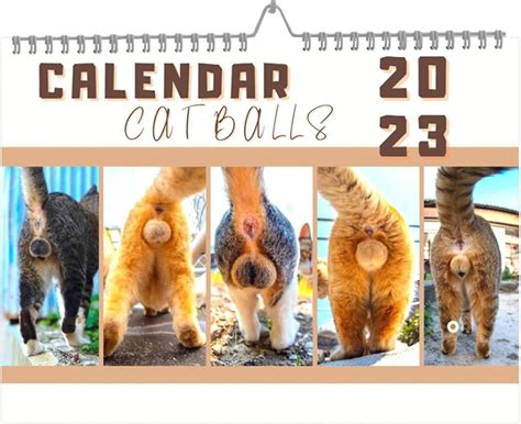 Cat Butthole Calendar Funny Calendar Month Cat Balls Calendar With Room For Notes