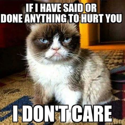 Pin By Feligatre On Yes Im Grumpyso Grumpy Cat Meme Funny