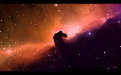 Outer Space Stars Shining Horsehead Nebula Gas Cloud Skyscapes Hd Wallpapers