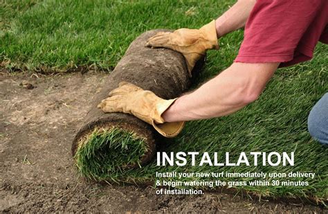 How To Lay Turf Laying Instant Turf Step By Step Guide