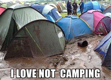 21 Hate Camping Memes Raccoons Spiders Bears Oh My