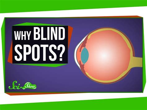 Why Do We Have Blind Spots 7tvnet Gcse Psychology Blind Spot