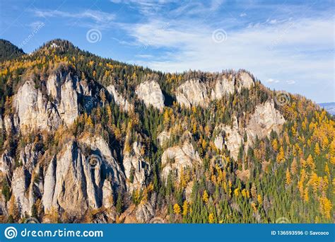 Autumn Rocky Mountain Scene Stock Photo Image Of Forest Pine 136593596