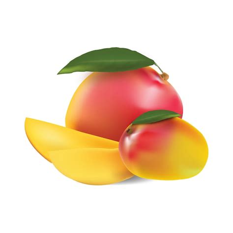 Mango Vector Premium Download
