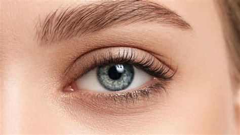 10 Effective Methods For Naturally Thickening Your Eyebrows