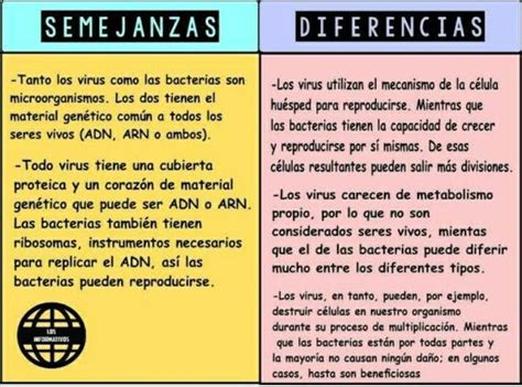 Semejanzas Y Diferencias De La Estructura De Los Virus Y Bacterias