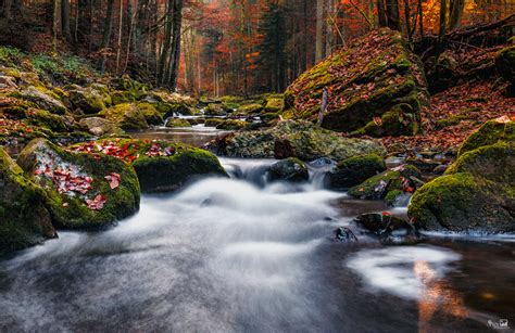 Bach389 Foto And Bild Landschaft Bach Fluss And See Bachläufe Bilder