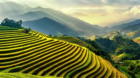 Hd Wallpaper Landscape Rice Fields Asia Yen Bai Vietnam Mu Cang