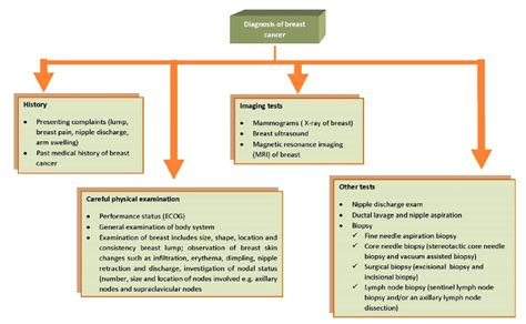 Flow Chart For The Breast Cancer Diagnosis Download Scientific Diagram