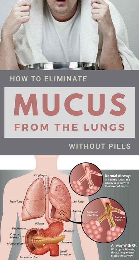 How To Eliminate Mucus From The Lungs Without Pills Mucus Home