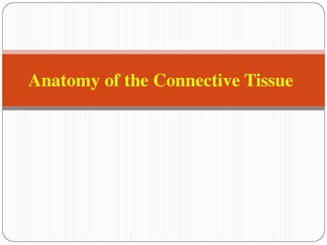 Solution Anatomy Of The Connective Tissues Studypool