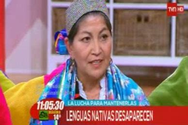 La nueva constitución debe garantizar los derechos colectivos al territorio, lengua y cultura de las naciones originarias. Destacada participación de académica en programa de TVN ...