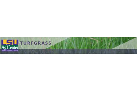 Turfgrass Groups