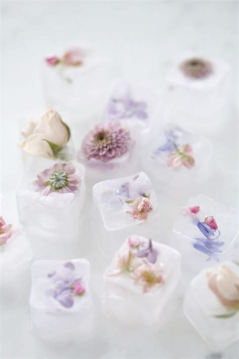 How To Make Floral Ice Cubes Jillian Harris Jillian Harris Floral