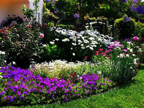 Azalea, daffodil, forsythia mandevilla, dogwood, wisteria, bearded iris (pictured), peony summer: Flower Bed Ideas: The Ultimate Touch of the Nature in Your ...