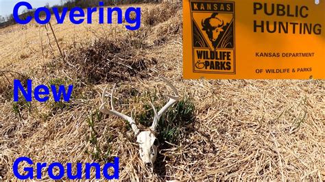 Scouting New Pieces Of Kansas Public Hunting Land For Whitetails Youtube