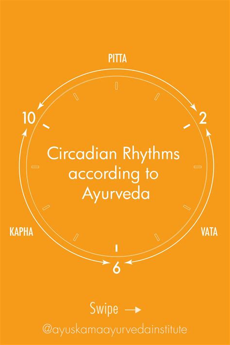 Circadian Rhythms According To Ayurveda Circadian Rhythm Ayurveda