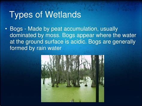 Ppt Wetlands Powerpoint Presentation Free Download Id644428