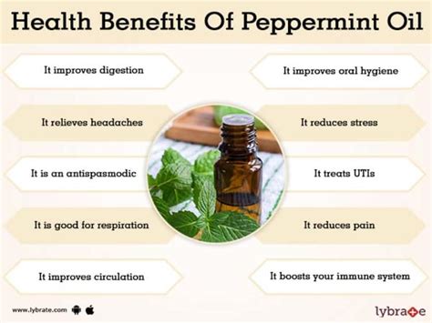 Benefits Of Peppermint Oil And Its Side Effects Lybrate