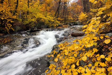 White Oak Canyon Shenandoah National Park Ed Fuhr Photography