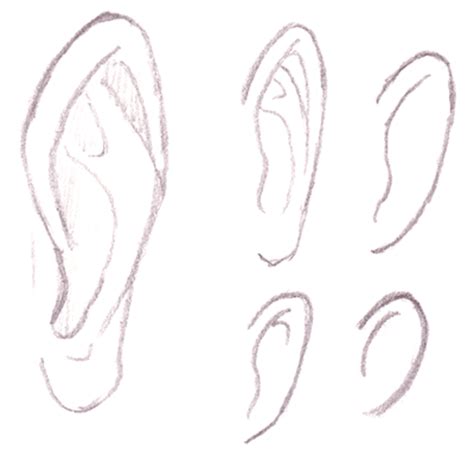 How to draw an anime head drawingforall net this tutorial explains how to draw an anime boy's head and face step by step from the front and side views. Manga Tutorials
