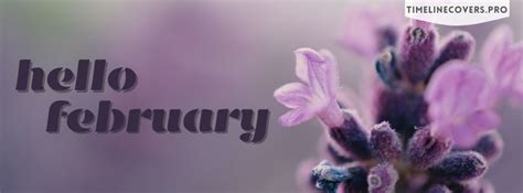 Hello February Blossom Evenings End Of Winters Facebook Cover Photo