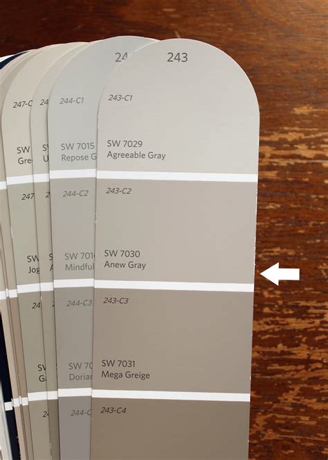 Which of the above colors is closest to if i want to go lighter than shiitake would you recommend accessible beige? 10 Best Gray Paint Colors by Sherwin-Williams — Tag & Tibby Design