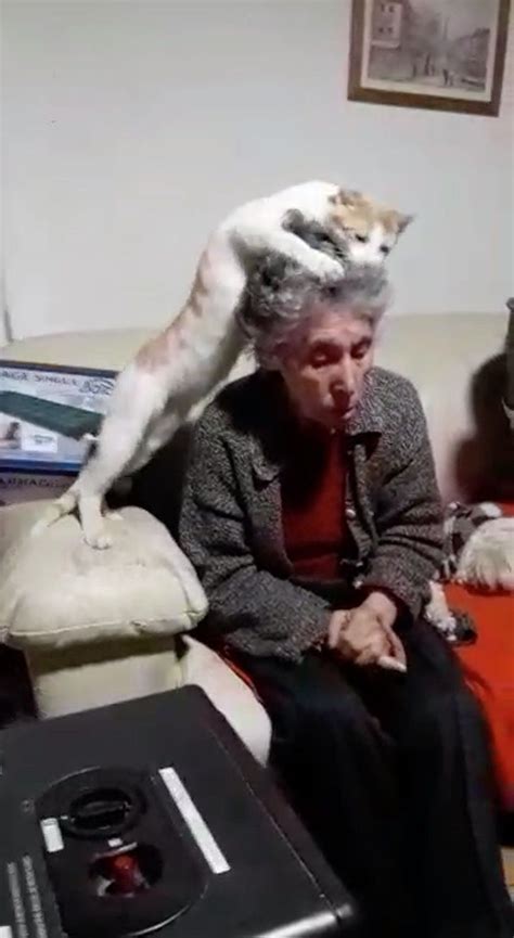 oma krijgt de diagnose seniele dementie en de kat probeert haar op haar eigen manier te genezen
