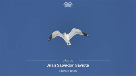 No es una gaviota cualquiera sino una gaviota que desea alcanzar la perfección en su padre y madre de juan salvador: Citas de Juan Salvador Gaviota - YouTube